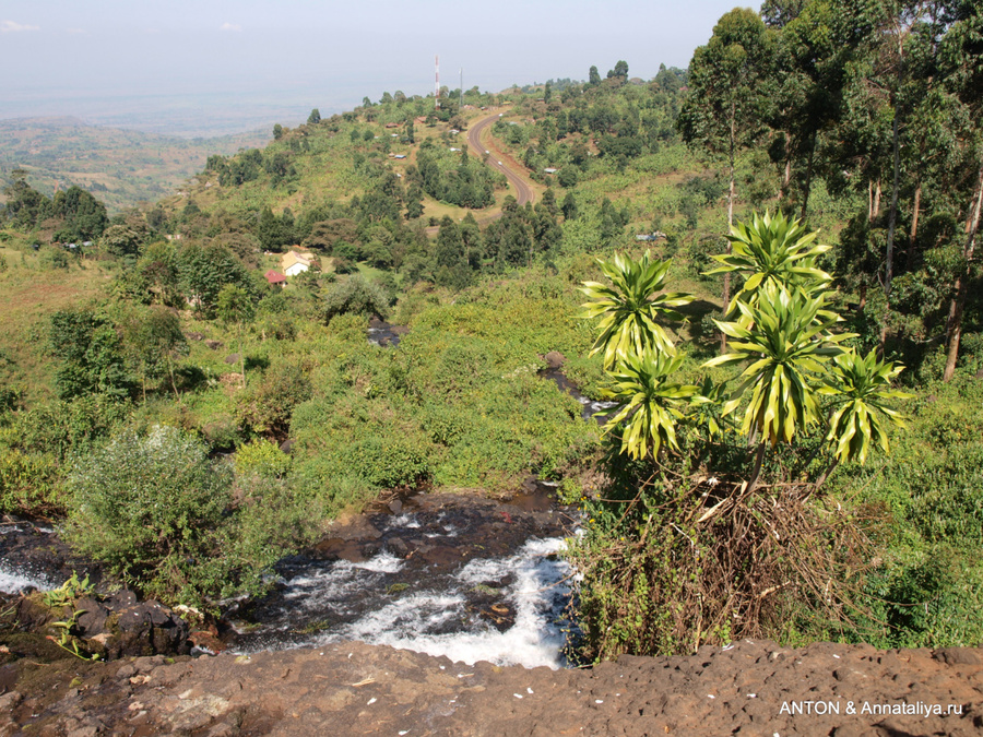 С Моисеем за обезьянами - часть 2. Водопады Сипи, Уганда