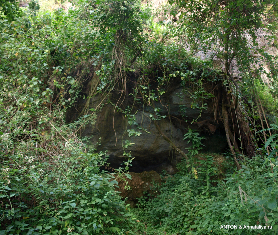 Вход в пещеру Национальный парк Элгон, Уганда