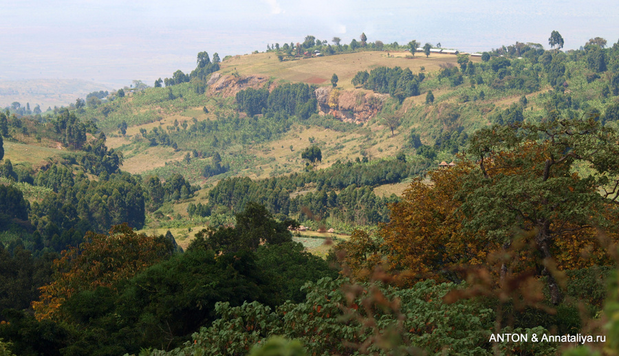 С Моисеем за обезьянами - часть 5. Панорамы и не только Национальный парк Элгон, Уганда