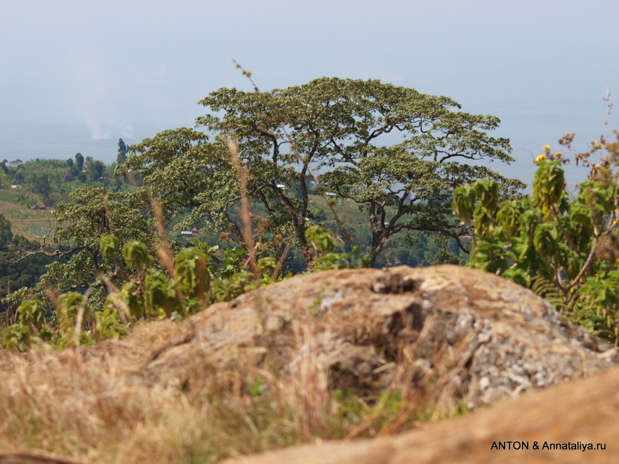 С Моисеем за обезьянами - часть 5. Панорамы и не только Национальный парк Элгон, Уганда