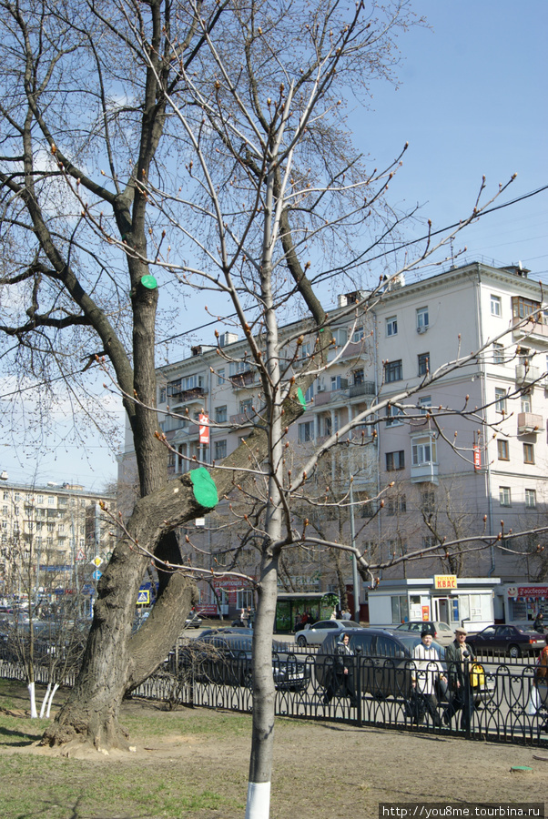 В Москве празднуют Пасху Москва, Россия