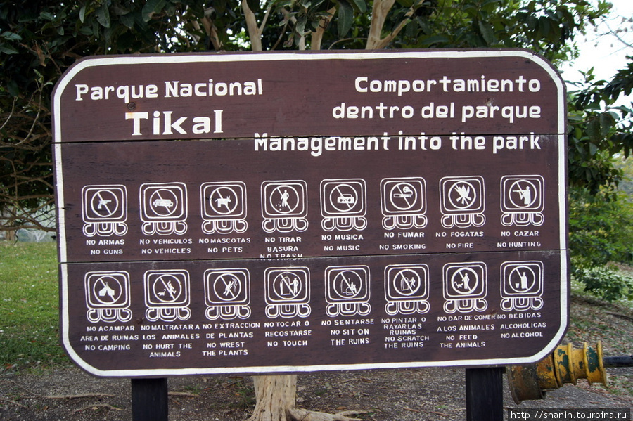 Тикаль Тикаль Национальный Парк, Гватемала