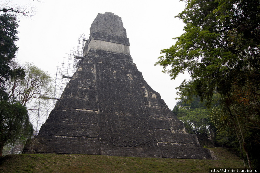 Пирамида Тикаль Национальный Парк, Гватемала
