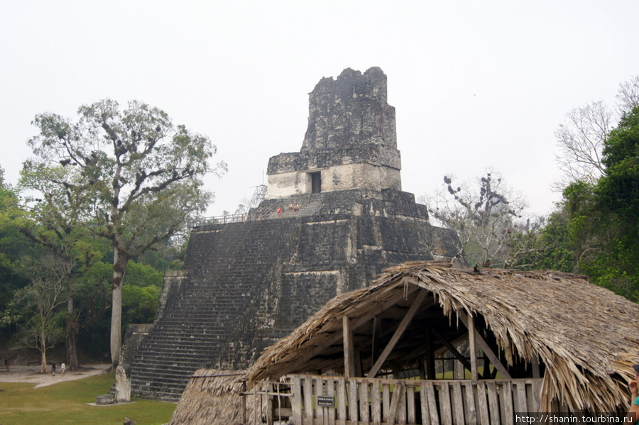 Пирамида на Великой площади в Тикале Тикаль Национальный Парк, Гватемала