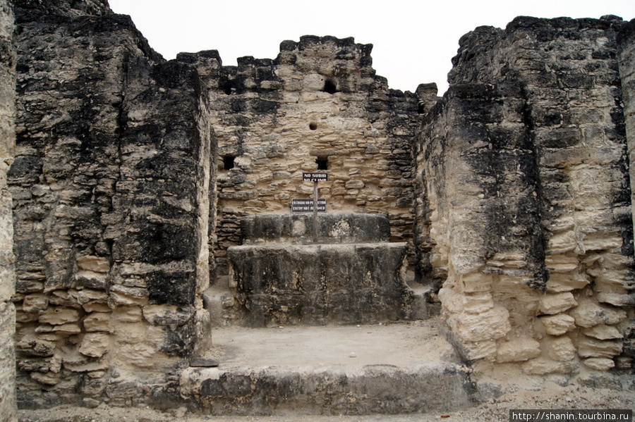 Руины храма на Великой площади в Тикале Тикаль Национальный Парк, Гватемала
