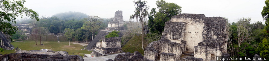 Руины на Великой площади в Тикале Тикаль Национальный Парк, Гватемала