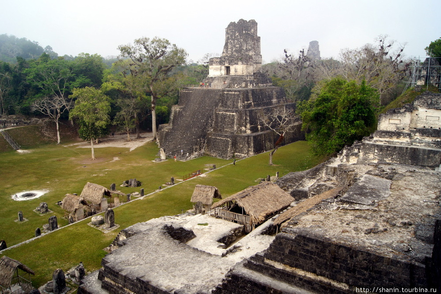 Вид из храма на Великую площадь в Тикале Тикаль Национальный Парк, Гватемала