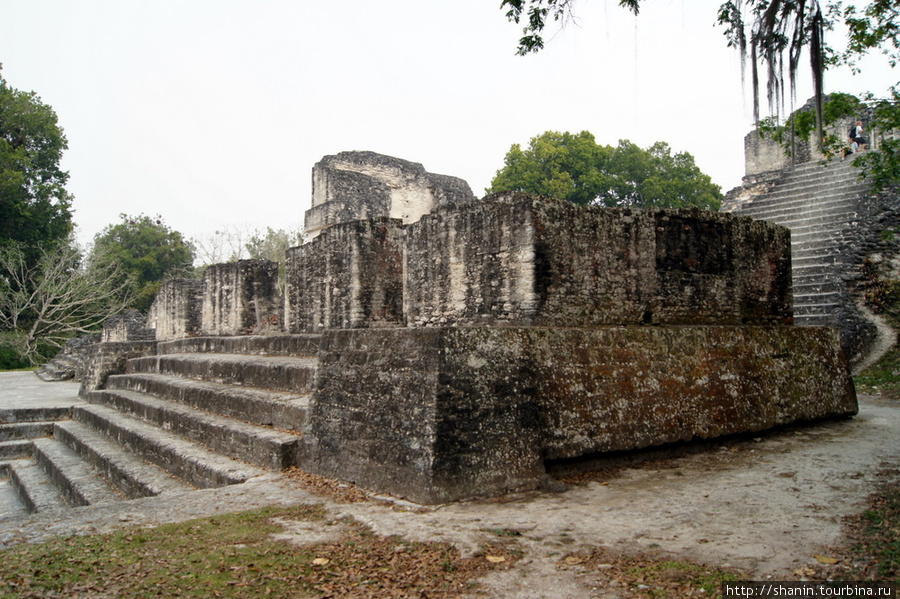Руины храма на Великой площади в Тикале Тикаль Национальный Парк, Гватемала