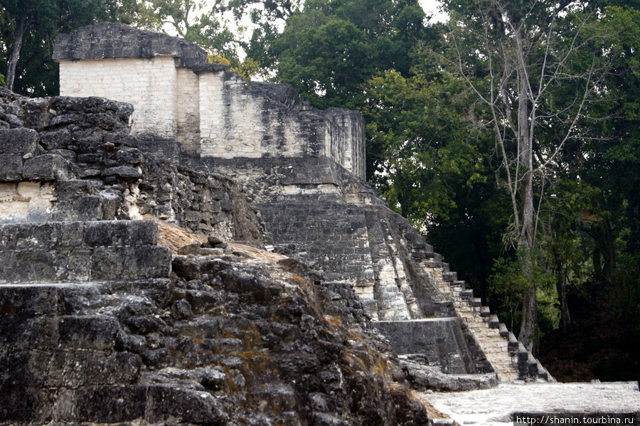 Рины храма на Великой площади в Тикале Тикаль Национальный Парк, Гватемала
