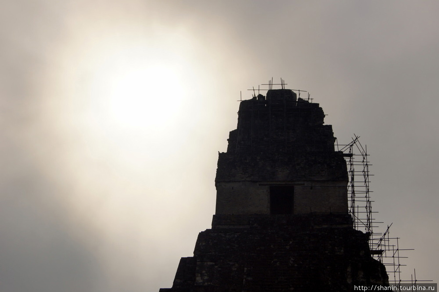 Пирамида и солнце Тикаль Национальный Парк, Гватемала