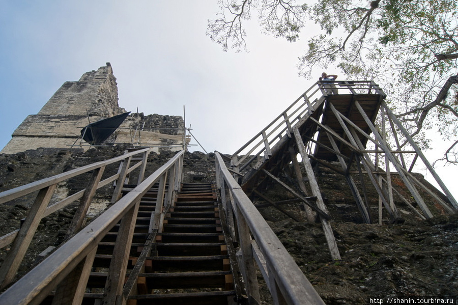 Лестница на вершину пирамиды в Тикале Тикаль Национальный Парк, Гватемала