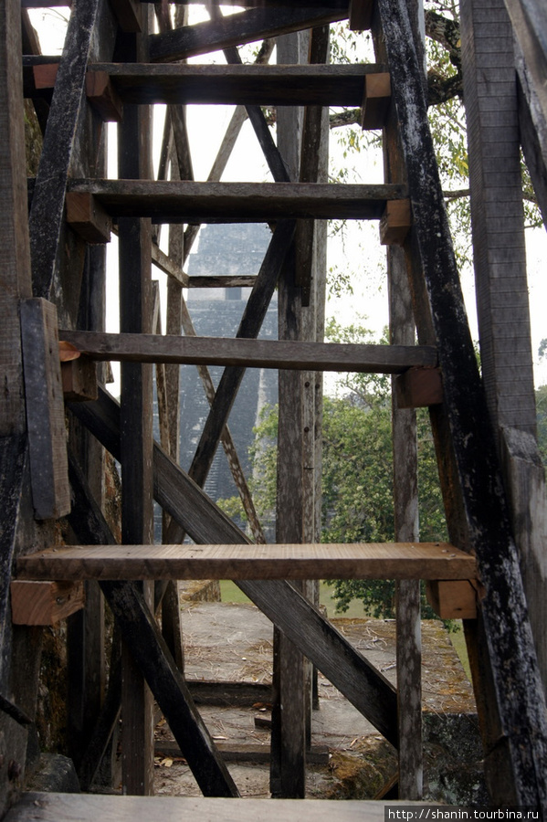 Деревянная лестница — на вершину пирамиды Тикаль Национальный Парк, Гватемала