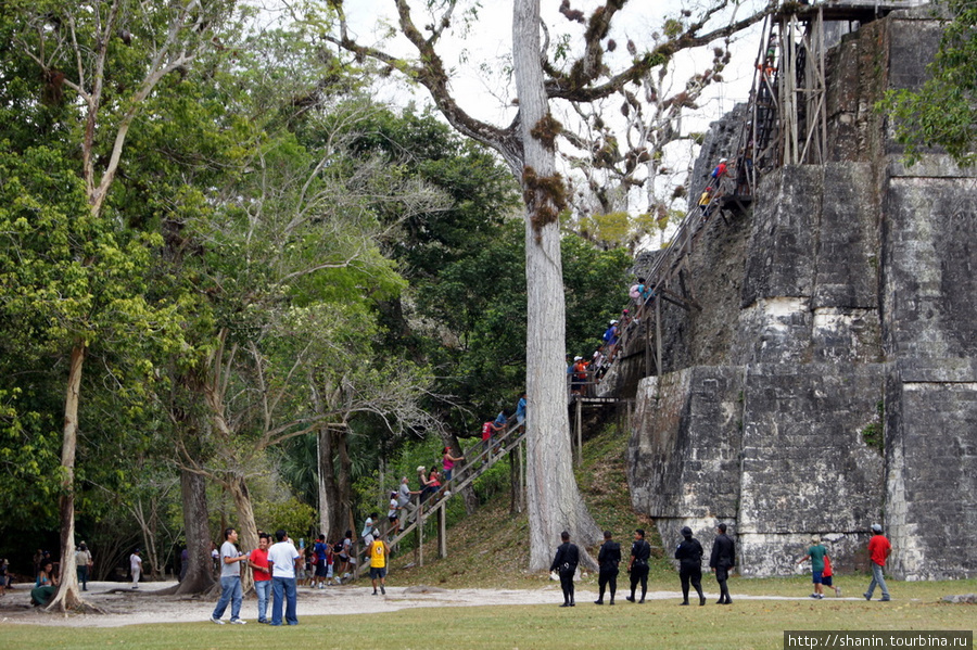 Охрана на Великой площади в Тикале Тикаль Национальный Парк, Гватемала