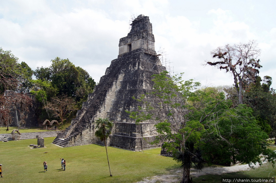 Пирамида в Тикале на Великой площади Тикаль Национальный Парк, Гватемала