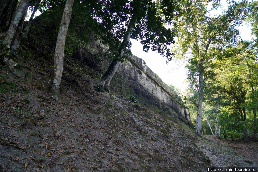 Полуразрушенная пирамида в Тикале Тикаль Национальный Парк, Гватемала
