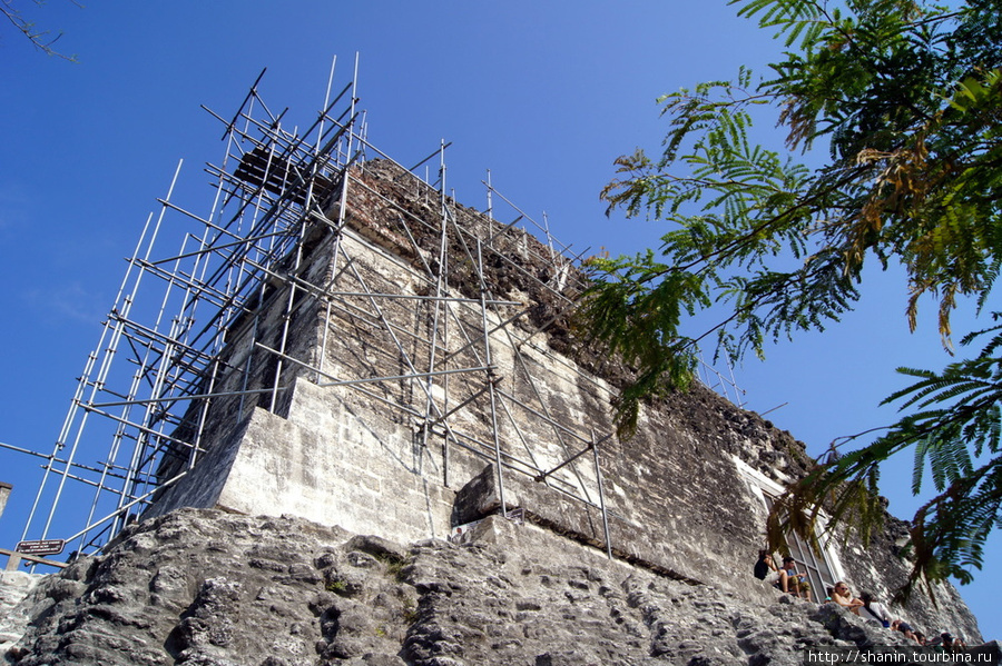 Вершина пирамиды Тикаль Национальный Парк, Гватемала