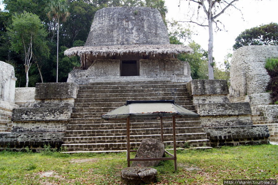 Храм на площади Семи храмов в Тикале Тикаль Национальный Парк, Гватемала