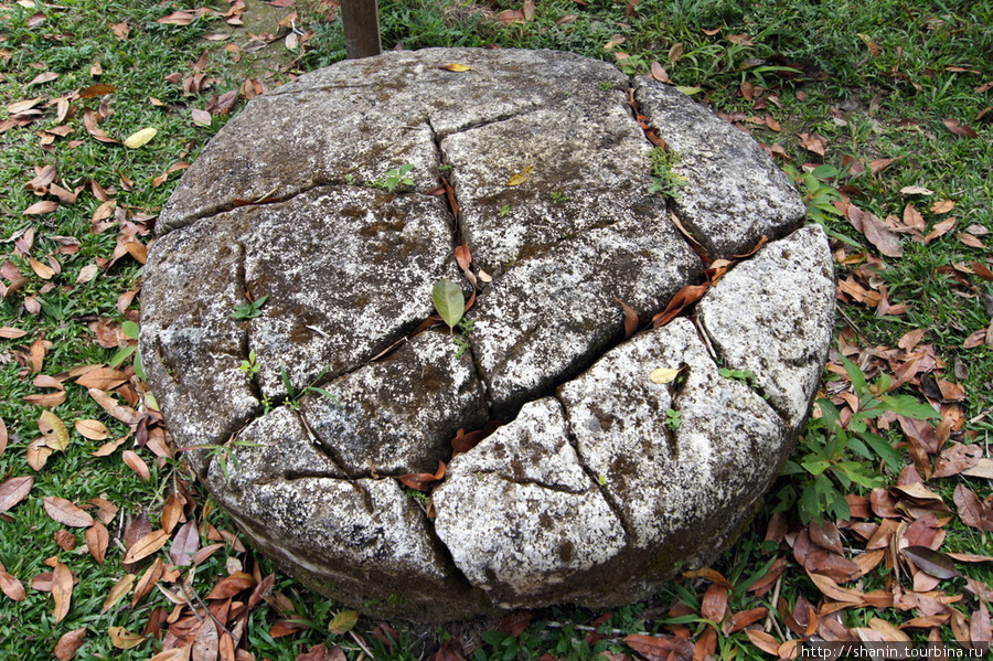Каменный алтарь Тикаль Национальный Парк, Гватемала