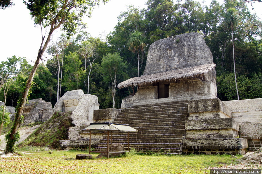 На площади Семи храмов в Тикале Тикаль Национальный Парк, Гватемала
