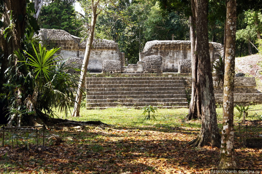 На площади Семи храмов в Тикале Тикаль Национальный Парк, Гватемала