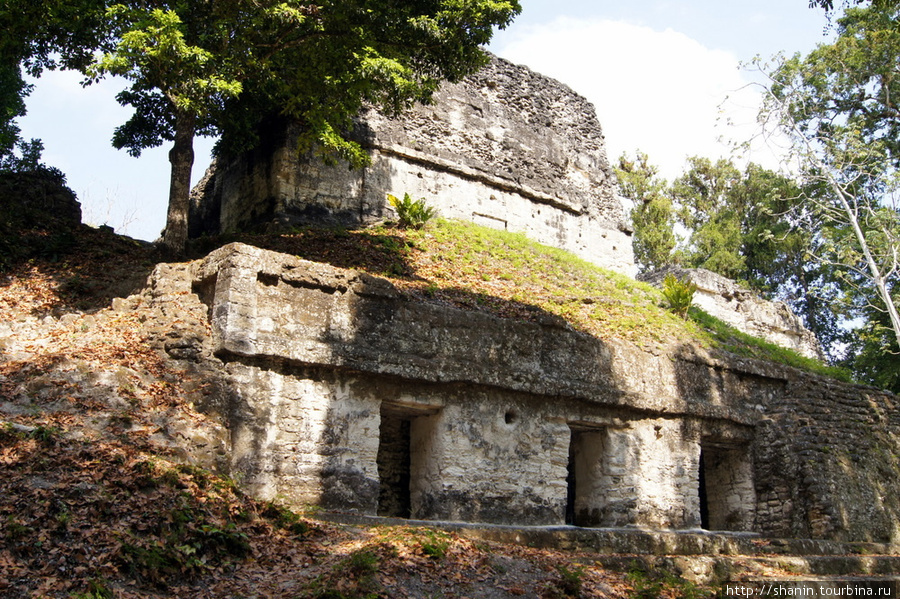 Храм Тикаль Национальный Парк, Гватемала
