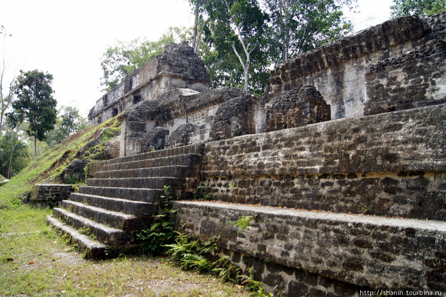 Площадь Семи храмов Тикаль Национальный Парк, Гватемала