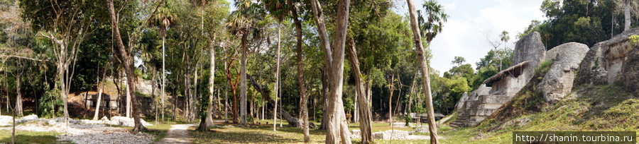 Площадь Семи храмов Тикаль Национальный Парк, Гватемала