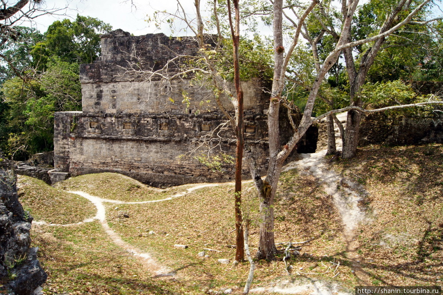 Центральный акрополь в Тикале Тикаль Национальный Парк, Гватемала
