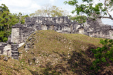 Центральный акрополь в Тикале