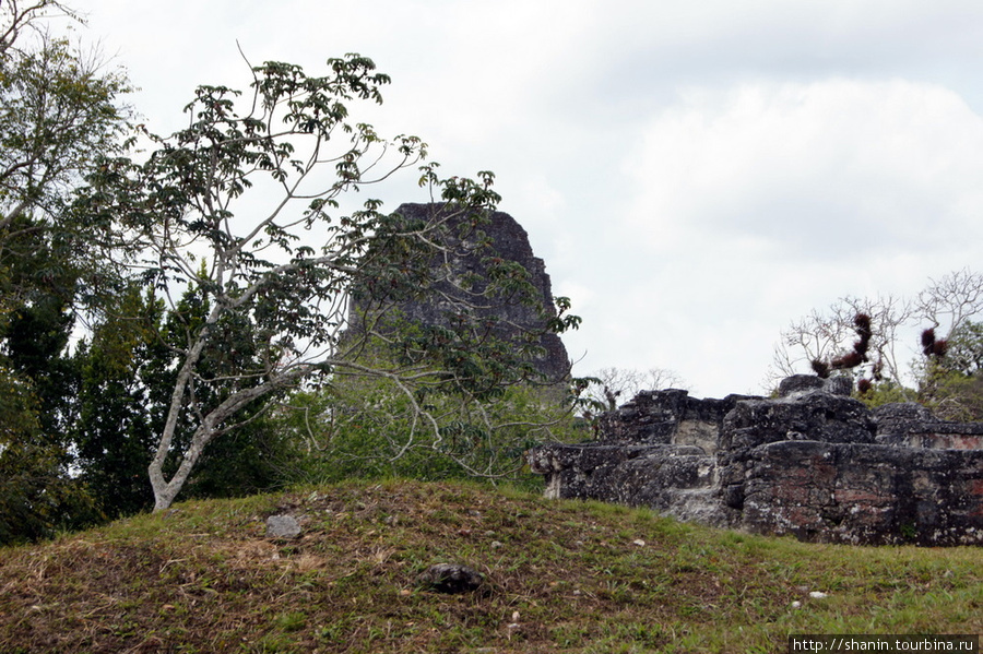 Центральный акрополь Тикаль Национальный Парк, Гватемала