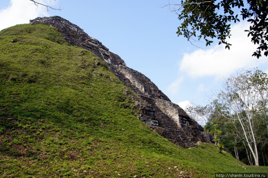 Заброшенный мир в Тикале Тикаль Национальный Парк, Гватемала