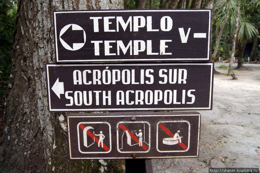 Направление на Южный акрополь Тикаль Национальный Парк, Гватемала