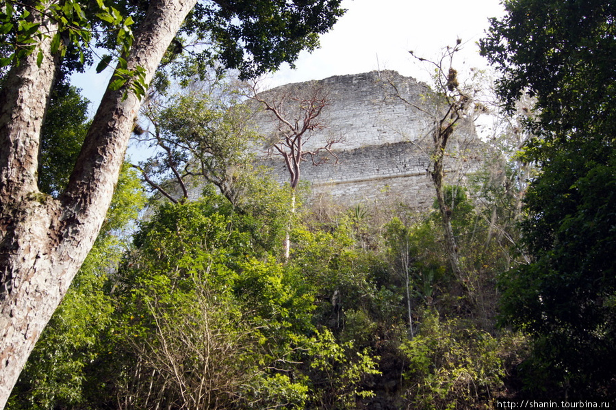 Пирамида — храм V Тикаль Национальный Парк, Гватемала