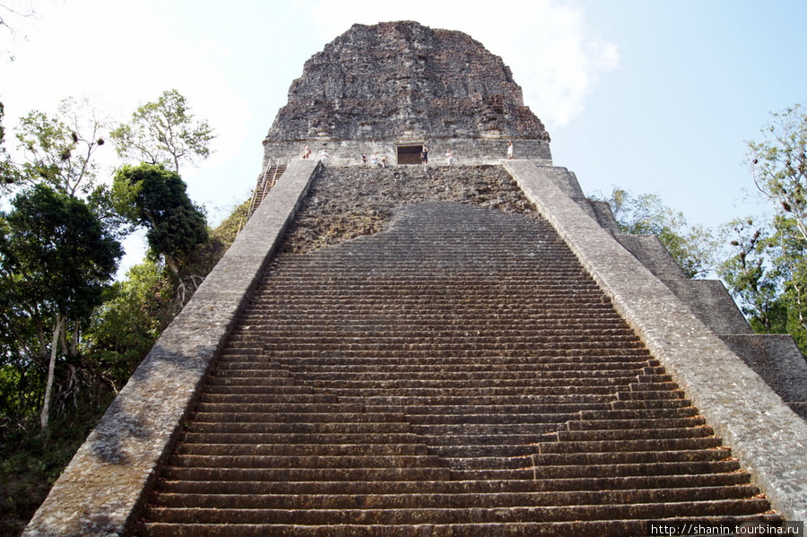 Лестница пирамиды Тикаль Национальный Парк, Гватемала