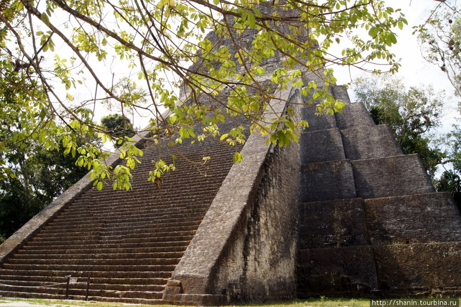 Пирамида в Южном акрополе Тикаль Национальный Парк, Гватемала