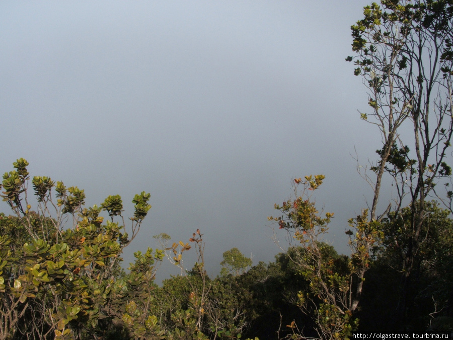 Потрогать облака рукой: побережье На-Пали. Остров Кауаи, CША