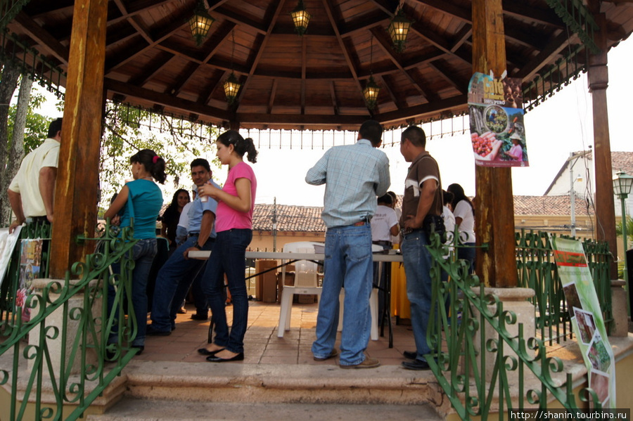 На дегустации кофе Камаягуа, Гондурас