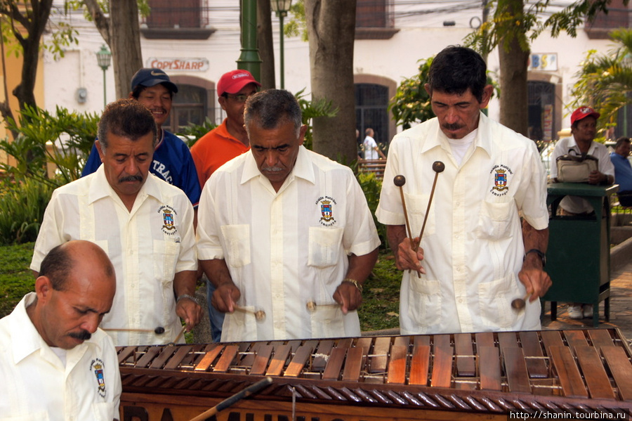 Музыканты с ксилофоном Камаягуа, Гондурас