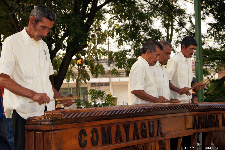 Дегустация кофе - весело и вкусно Камаягуа, Гондурас