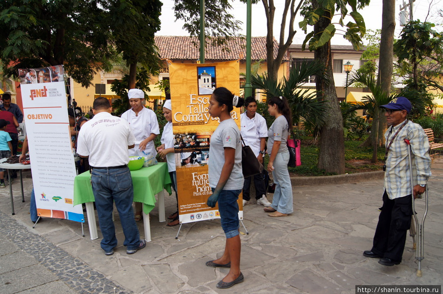 На дегустации кофе Камаягуа, Гондурас