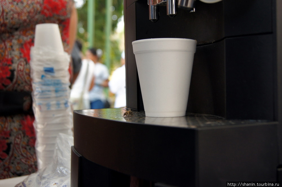 Кофе из одноразовых стаканчиков Камаягуа, Гондурас