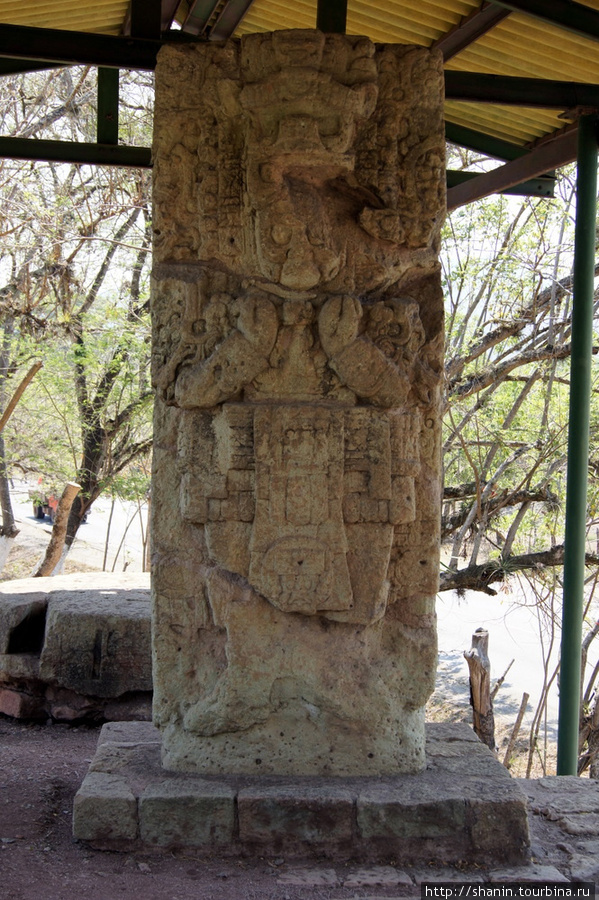 Каменная стела Копан-Руинас, Гондурас