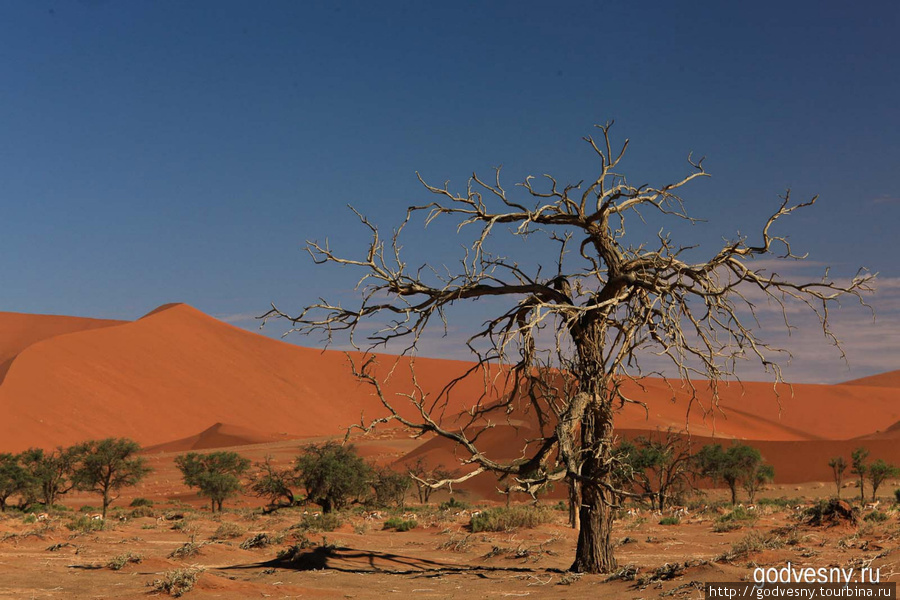 Природа Намибии. Альбом первый Намибия