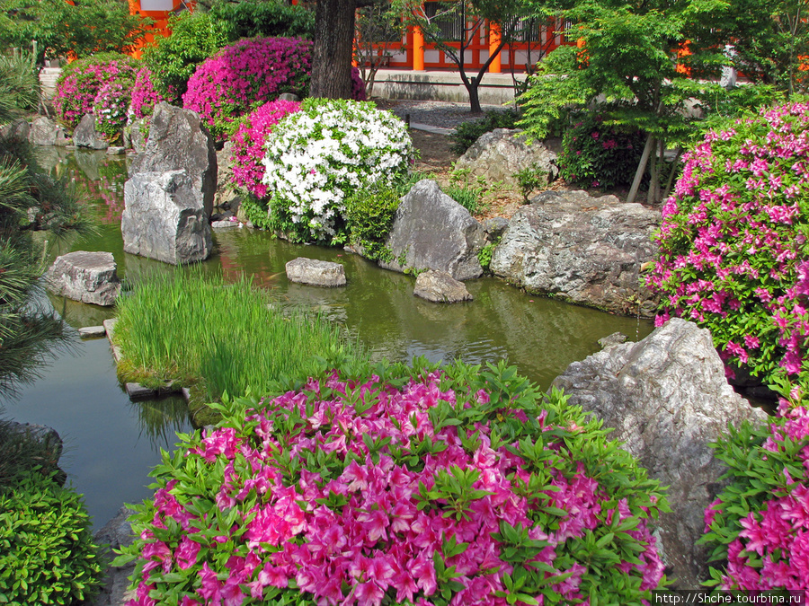 типичный дворик синтоистского храма Япония