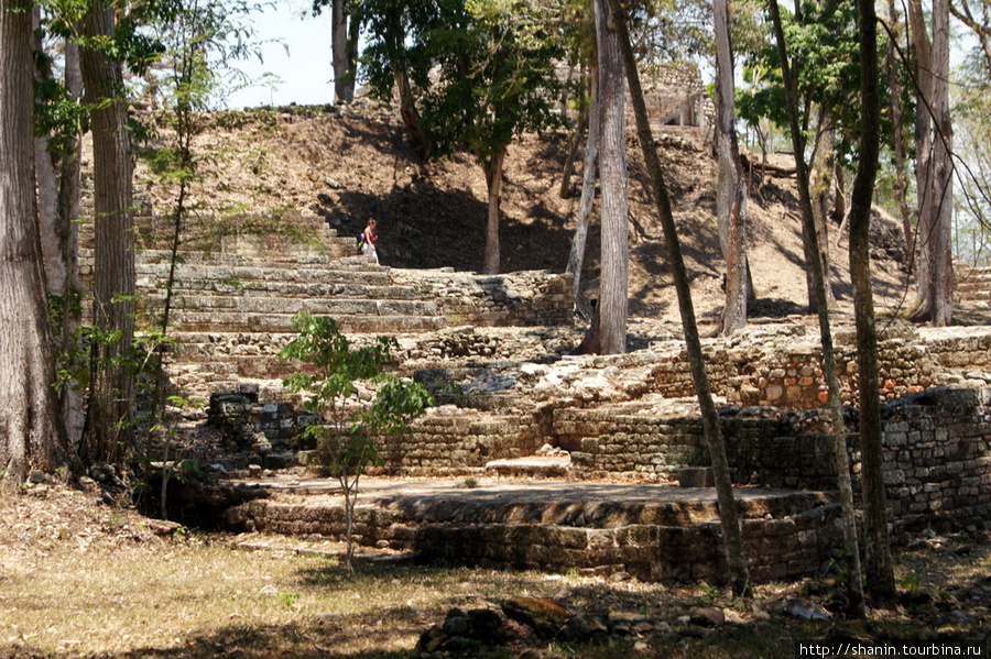 Руины жилого квартала Копан-Руинас, Гондурас