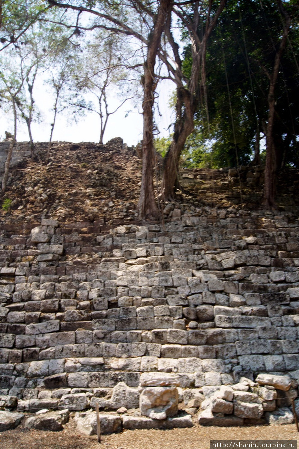 Пирамида Копан-Руинас, Гондурас
