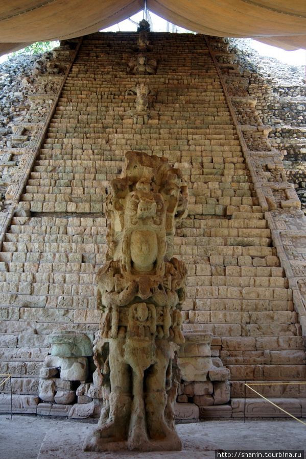 Лестница с иероглифами Копан-Руинас, Гондурас