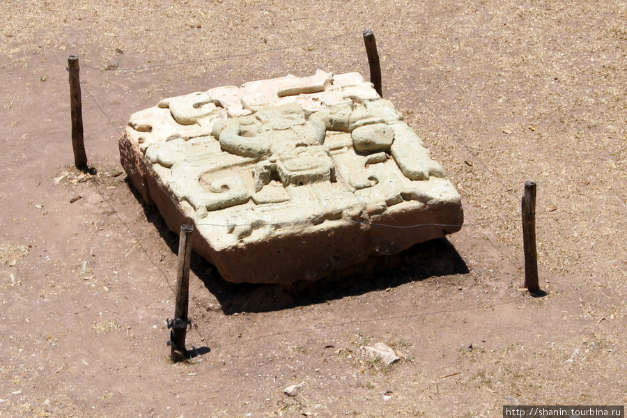 Каменный алтарь на Западной площади в Копане Копан-Руинас, Гондурас