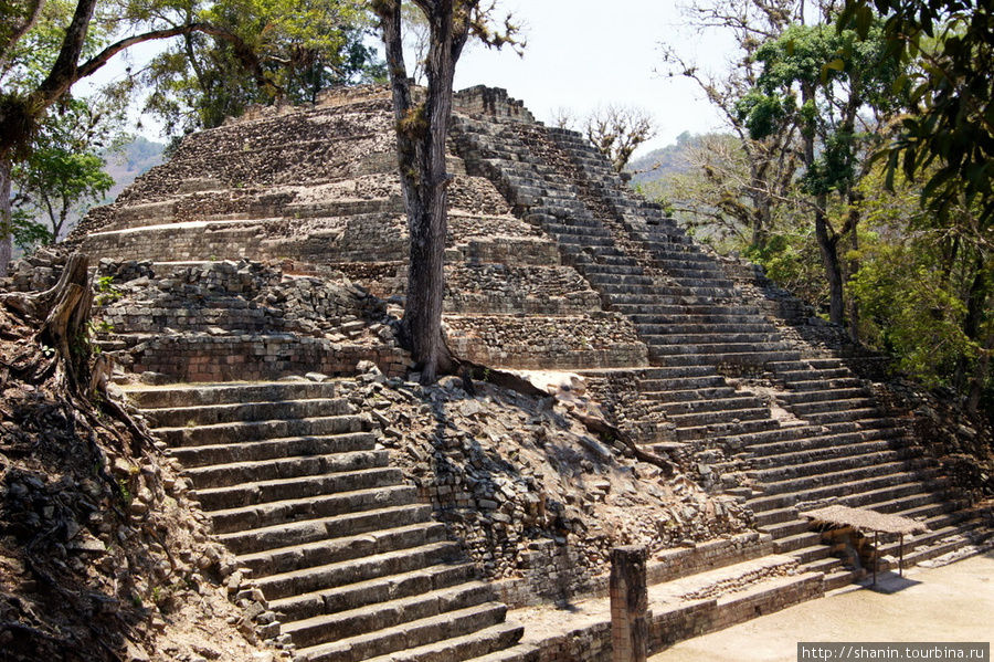 Пирамида на Западной площади в Копане Копан-Руинас, Гондурас