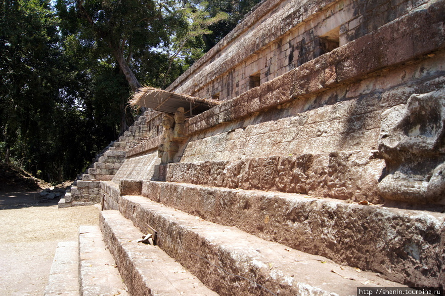 ПирамидаНа Западной площади в Копане Копан-Руинас, Гондурас